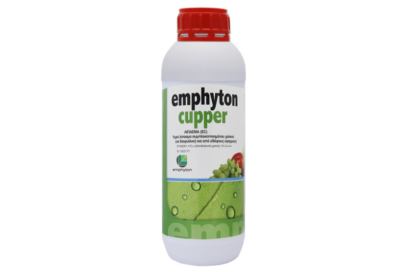 PRODUCTS – Emphyton